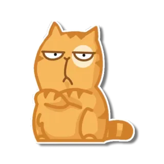 😒 gato, enojado, dibujo animado, naranja, felino telegram sticker