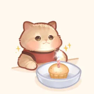 ✨ gato, aniversário, fofo, animal, celebração, kawaii, festa telegram sticker