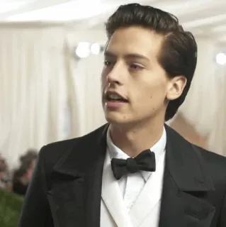 ❄ Cole Sprouse homem, terno, celebridade, gravata borboleta, ator whatsapp sticker