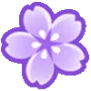 🌸