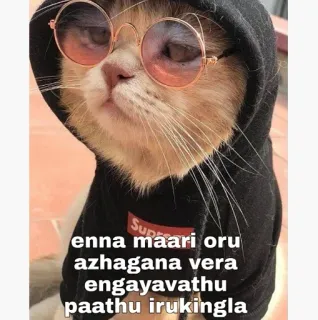 Name thonala telegram stickers