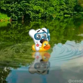 🏖 卡通, 熊, 游泳池, 鸭子, 水, 游泳, 可爱 telegram sticker