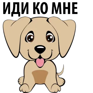 🐶 ИДИ КО МНЕ hond, puppy, dier, schattig, huisdier, oproep whatsapp sticker