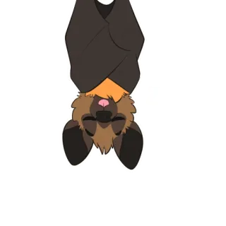 💤 morcego, animal, fofo, mamífero telegram sticker