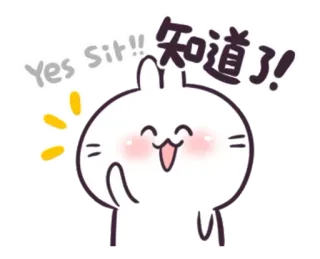 😁 Yes Sir!! 知道了! Hase, niedlich, kawaii, fröhlich, weißes Kaninchen, Cartoon telegram sticker