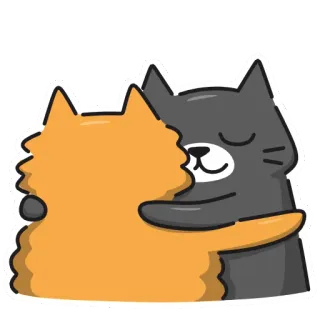 🫂 gatto, gatti, abbraccio, carino, animali, amicizia telegram sticker