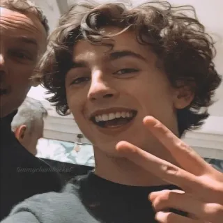 ✌️ Timothée Chalamet актер, знаменитость, мужчина, кудрявые волосы, человек whatsapp sticker