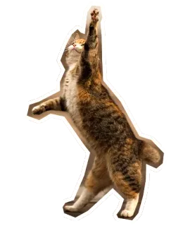 ✋ แมว, สัตว์, แมวบ้าน, น่ารัก, สัตว์เลี้ยง telegram sticker