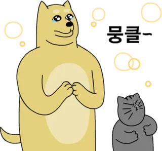 💬 뭉클~ cane, gatto, carino, animali, emoticon whatsapp sticker
