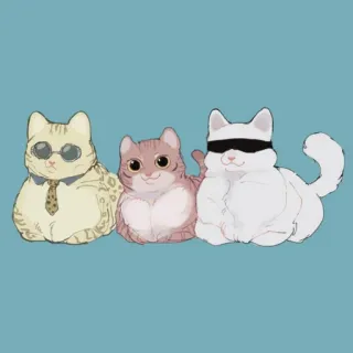 🐈 Katze, Katzen, Tier, süß, Sonnenbrille, Augenbinde, lustig telegram sticker