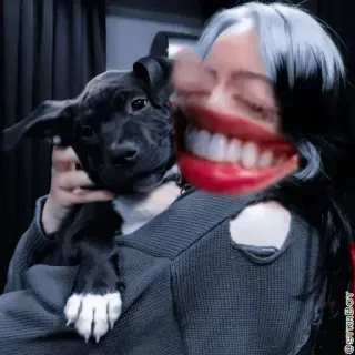 😂 Billie Eilish penyanyi, anjing, selebriti, senyum, lucu, potret telegram sticker