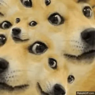 👍 doge, hund, meme, augen, lustig, tier telegram sticker