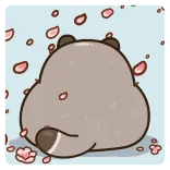 🍃 raccoon, cute, kawaii, animal, cartoon, sticker telegram sticker