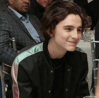 📯 Timothée Chalamet acteur, célébrité, homme, mode, portrait, personne telegram sticker