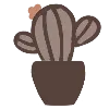🌵