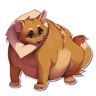😔 gato, animal, mascota, lindo, felino telegram sticker