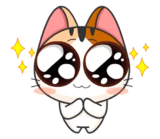 😲 고양이, 동물, 귀여운, 카와이, 애원, 반짝, 반짝이 telegram sticker