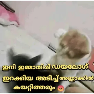 😂 ഇനി ഇമ്മാതിരി ഡയലോഗ് ഇറക്കിയ അടിച്ചു അണ്ണാക്കില് കയറ്റിത്തറും telegram sticker