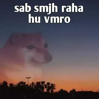 👀 Doge Doge meme sab smjh raha hu vmro doge, meme, sunset, understanding, humor telegram sticker