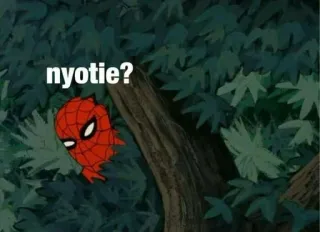 🕸 Spider-Man nyotie? spider-man, dessin animé, marvel, mème whatsapp sticker