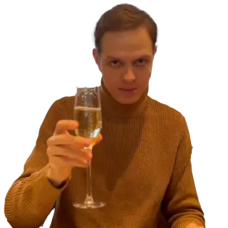 Дмитрий Шамов  😎🤟 telegram stickers