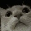 👀