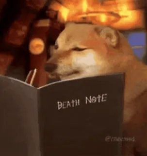 😂 Death Note DEATH NOTE Death Note, Anime, Meme, Doge, Đọc sách, Sách telegram sticker