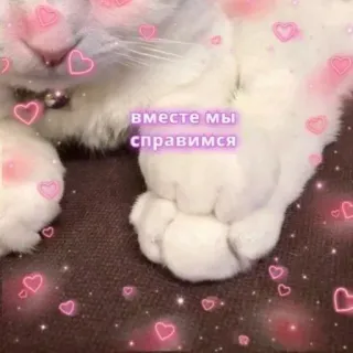 💜 вместе мы справимся telegram sticker