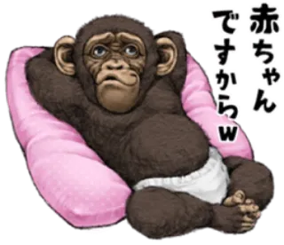 🐵 赤ちゃんですからw simpanse, monyet, bayi, lucu, binatang, popok telegram sticker