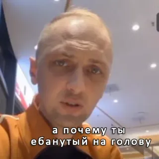 🤌 а почему ты ебанутый на голову telegram sticker