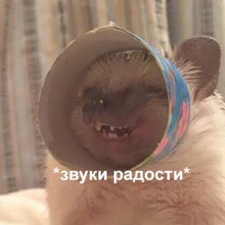 😄 *звуки радости* jeż, zwierzę, słodki, radość, śmieszny telegram sticker