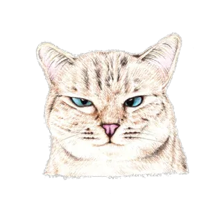 😏 고양이, 동물, 애완동물, 귀여운, 고양이과, 새끼 고양이 telegram sticker