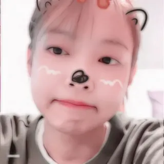 🥟 bộ lọc, khuôn mặt, tai, dễ thương, động vật, gấu telegram sticker