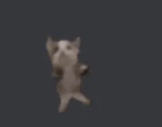 🤗 chat, danse, animal, mème, drôle, animal de compagnie telegram sticker