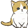 🐱