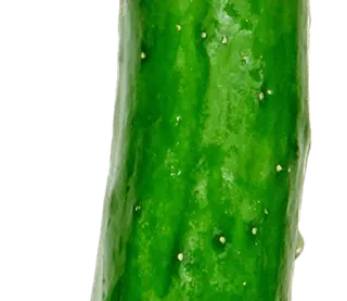 ⚪️ concombre, légume, vert, nourriture, sain whatsapp sticker