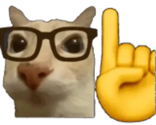 🤓 Katze, Brille, Stinkefinger, Emoji, Humor, Meme telegram sticker