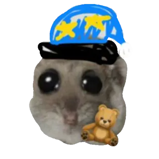 🛏 햄스터, 귀여운, 동물, 잠, 테디베어, 애완 동물, 만화 whatsapp sticker