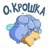 🪰 telegram sticker