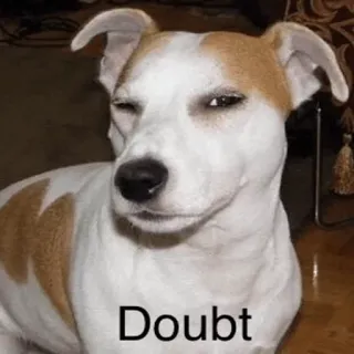 😙 Doubt Hund, Zweifel, Meme, Lustig, Ausdruck, Tier, Sarkasmus telegram sticker