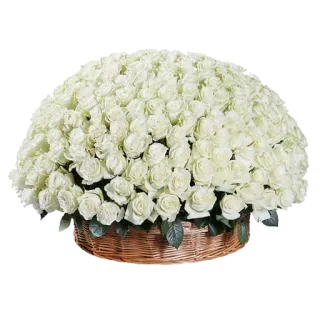 🌹 ดอกไม้, ดอกกุหลาบ, สีขาว, ตะกร้า, ช่อดอกไม้, การจัดดอกไม้ whatsapp sticker