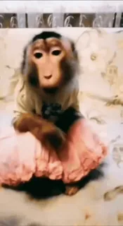 ❤️ monkey, animal, dress, cute, primate telegram sticker
