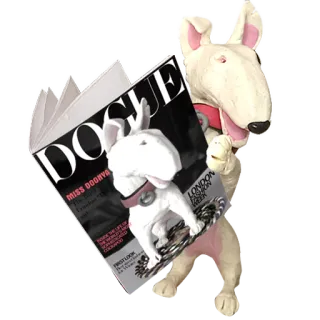 😻 DOGUE dog, magazine, parody, fashion, dogue, bull terrier telegram sticker