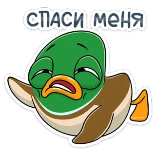😫 СПАСИ МЕНЯ anatra, animale, cartone animato, carino, uccello, aiuto, salvare whatsapp sticker