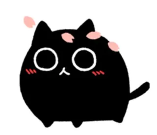 😮 kat, schattig, kawaii, dier, kersenbloesem, zwarte kat telegram sticker