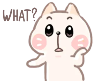 😮 WHAT? Katze, Cartoon, Frage, schockiert, Gesichtsausdruck, süß whatsapp sticker