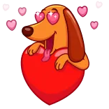 😍