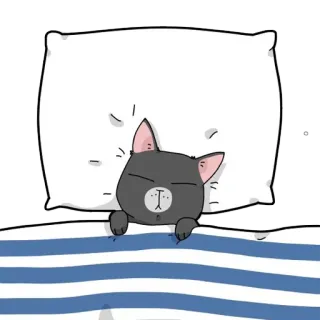 😴 gato, dormindo, travesseiro, desenho animado, animal, cama, fofo whatsapp sticker