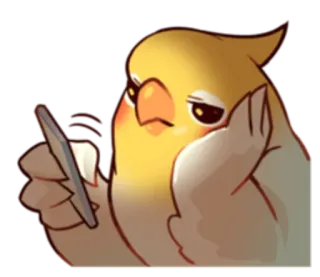 😑 นกค็อกกาเทล, นก, โทรศัพท์, อิโมจิ, สัตว์, สัตว์เลี้ยง telegram sticker