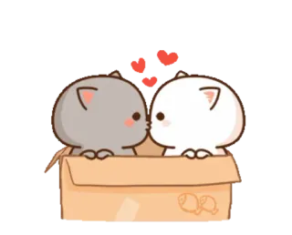 📦 chats, baiser, amour, dessin animé, boîte whatsapp sticker